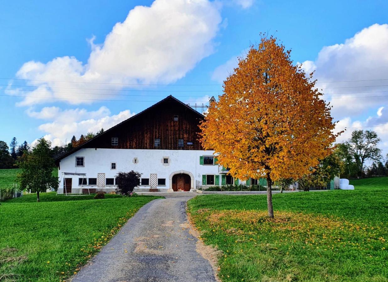 O Valanvron - Appartement Dans Une Ancienne Ferme Neuchateloise La Chaux De Fonds Ngoại thất bức ảnh